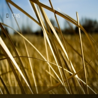 3d графика обои - перейти на эту картинку работа в 3d, обои в стиле техно-арт, изображены ирреальные события