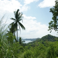 Море - перейти на эту картинку высокая трава на вершине горы