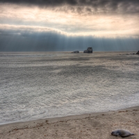 Разные обои - перейти на эту картинку тема на вольную тему, вселяет надежду, вполне подходит для ежедневного использования