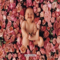 веселый ребенок в розах