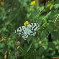 Природа - перейти на эту картинку Потрясающий кругозор на идеальный мир, девственно чистая природа, где не ступала нога человека